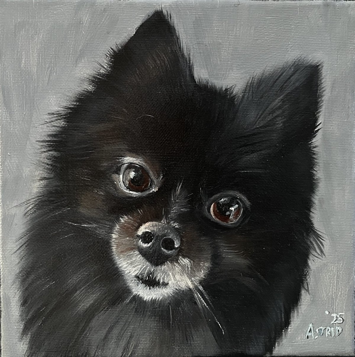 Portrait du chien